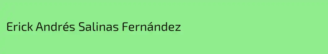 Erick Andrés Salinas Fernández